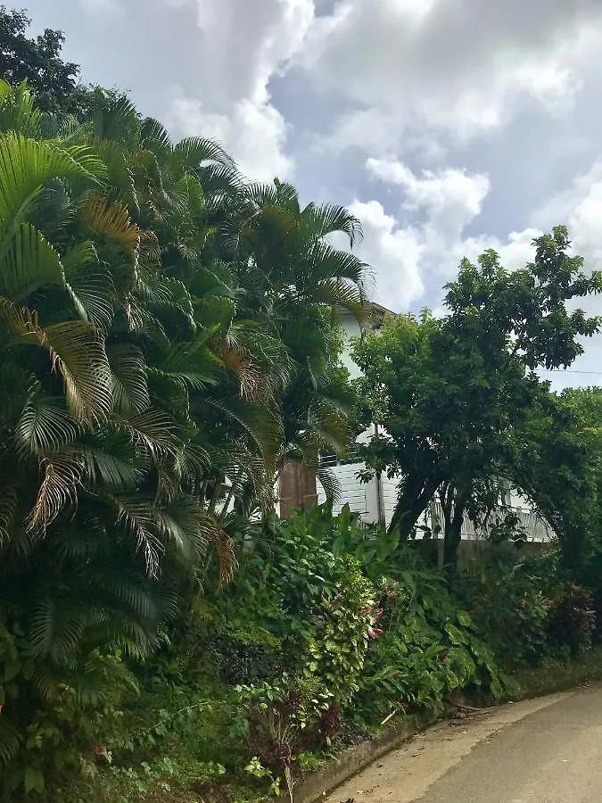 Holiday home Maison Cosy A Le Robert Avec Vue Imprenable Sur La Montagne Martinique