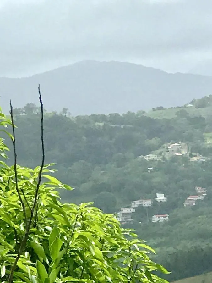 Maison Cosy A Le Robert Avec Vue Imprenable Sur La Montagne 別荘